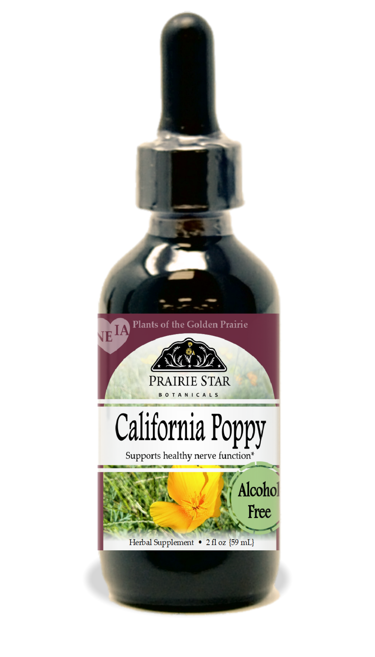 California Poppy