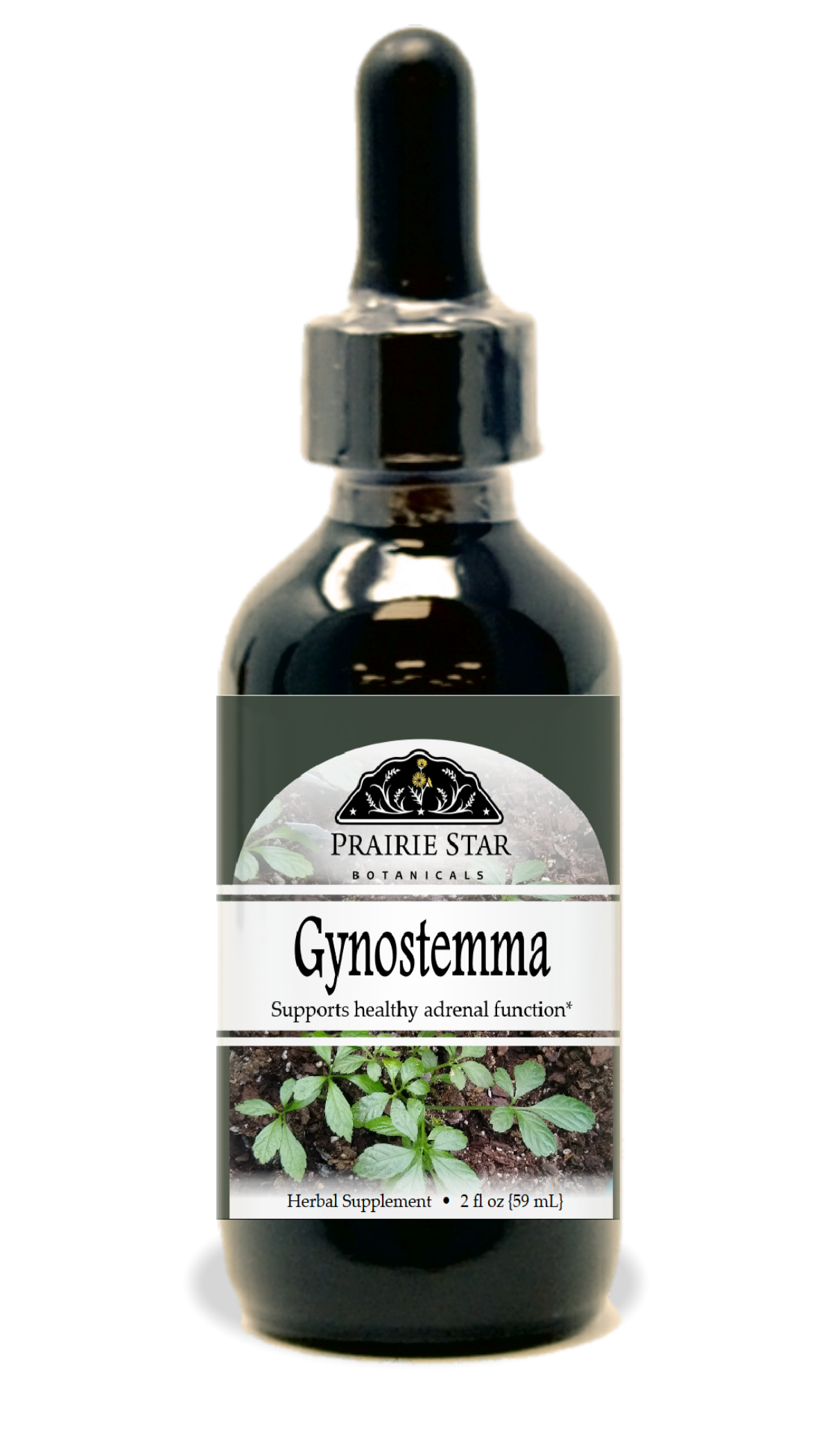 Gynostemma
