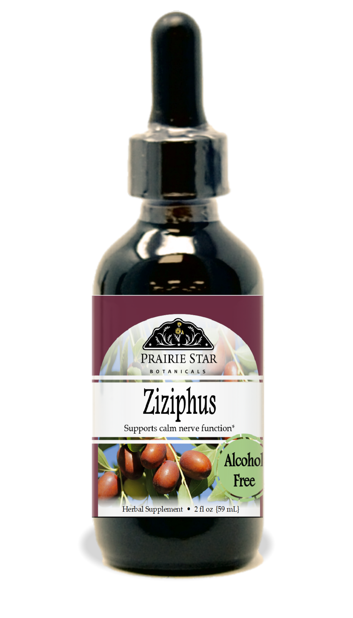 Ziziphus
