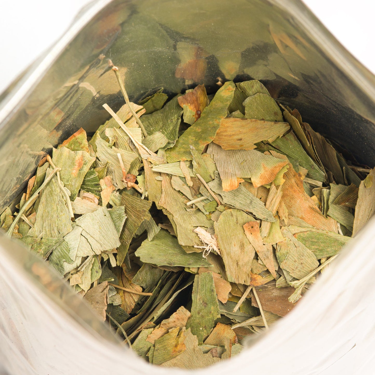 Organic Ginkgo Leaf Tea – 200g Premium Ginkgo Biloba Leaves with Sea Buckthorn
