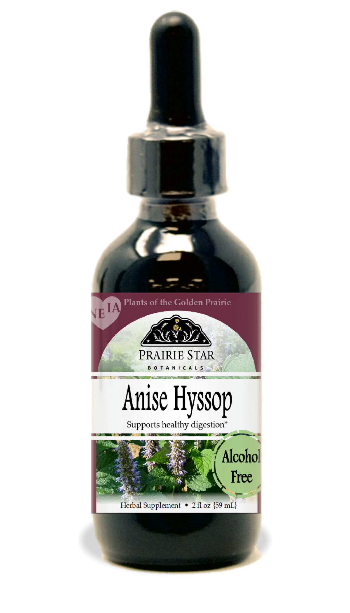 Anise Hyssop