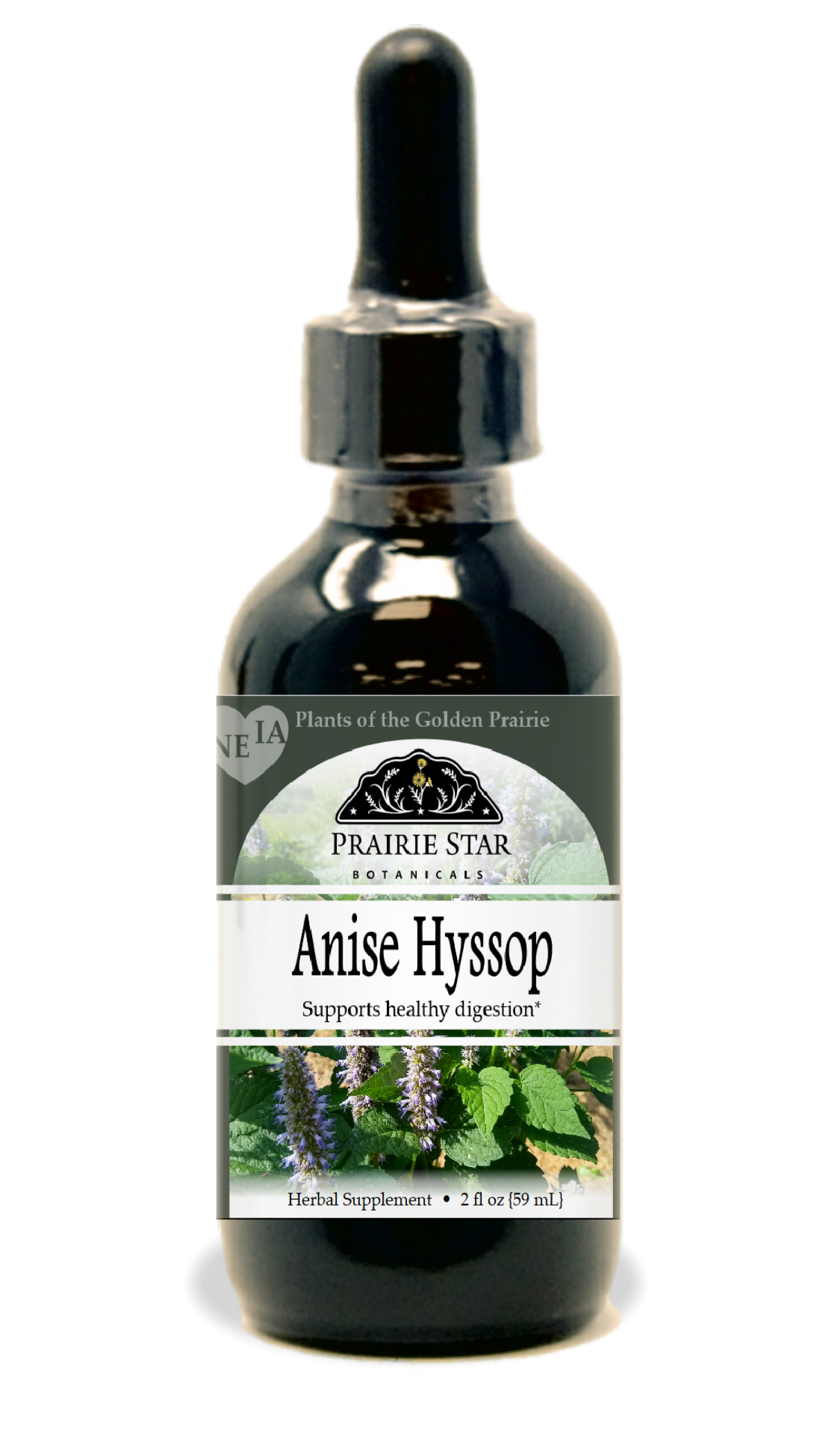 Anise Hyssop
