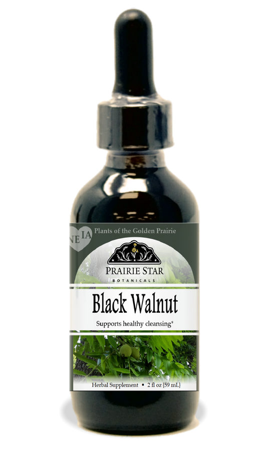 Black Walnut