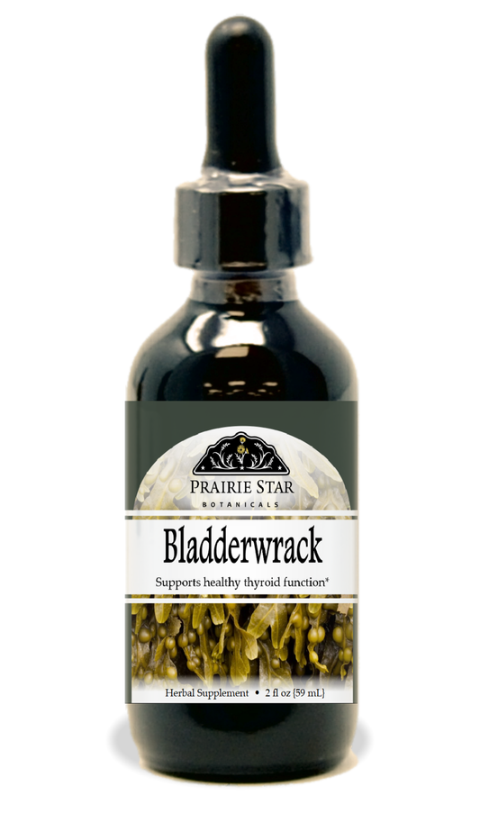 Bladderwrack