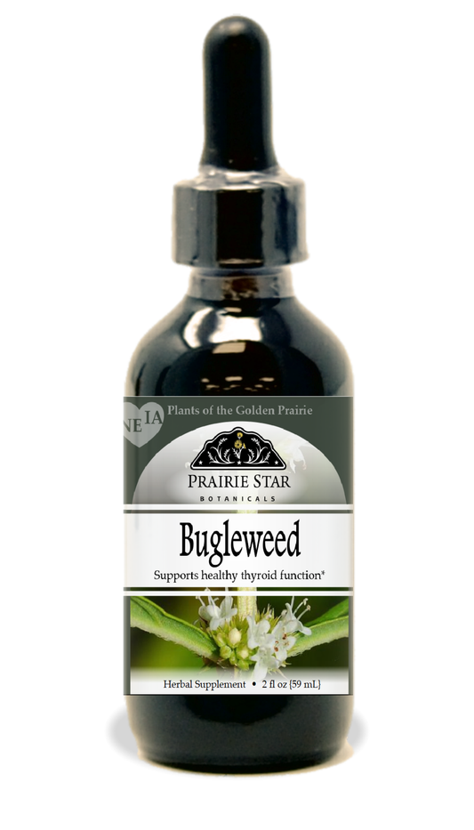 Bugleweed