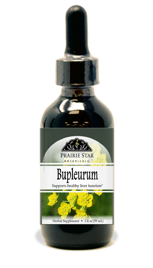 Bupleurum