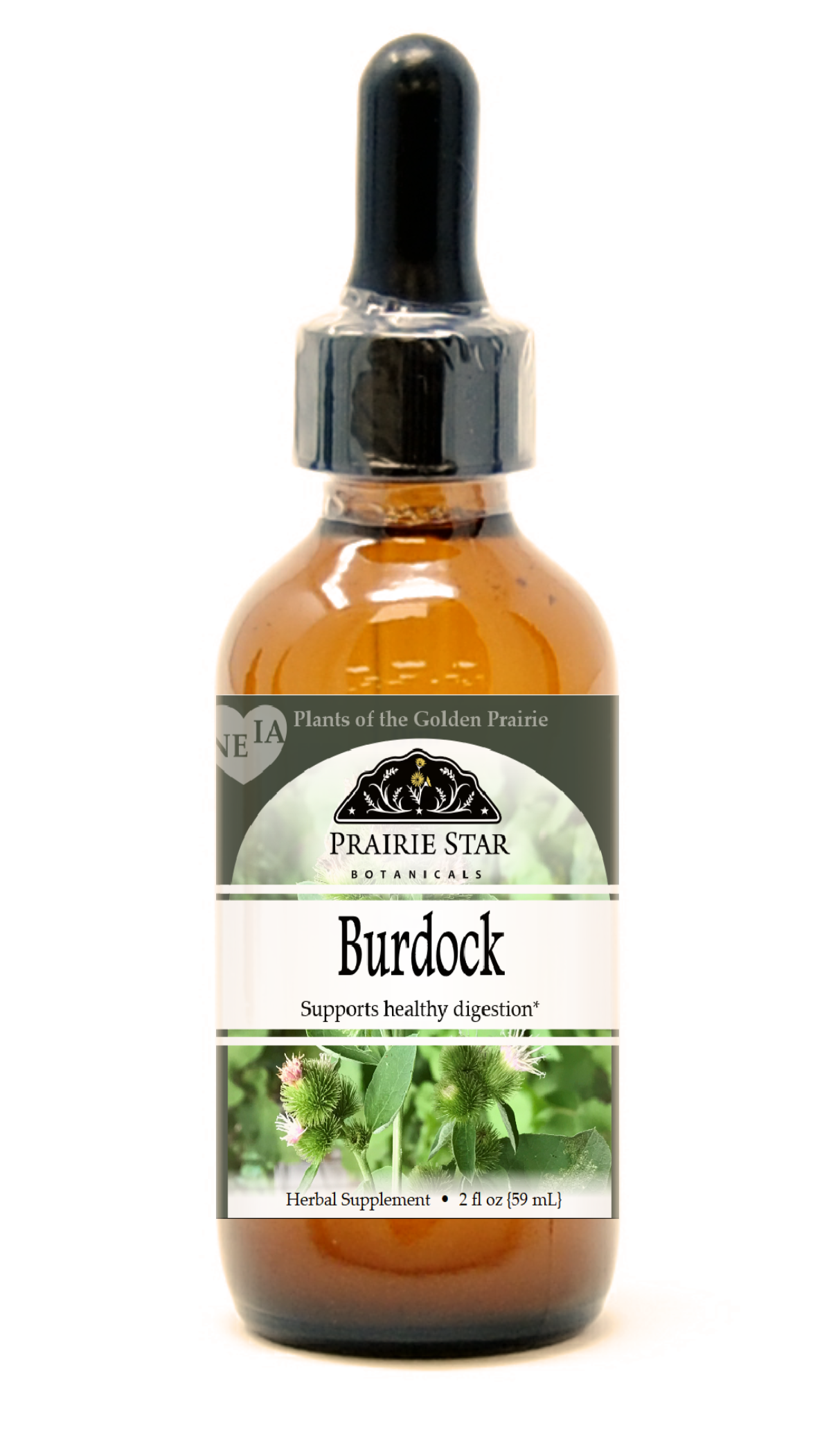 Burdock