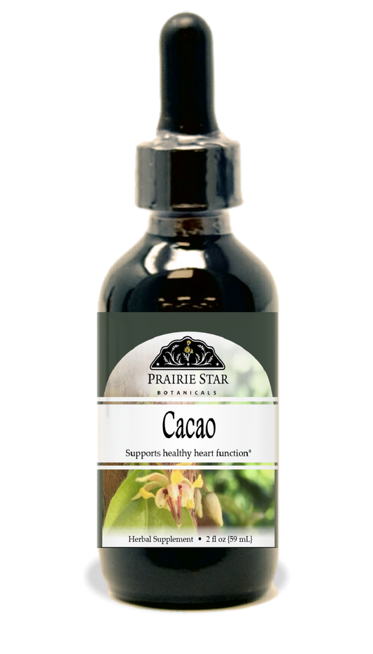 Cacao