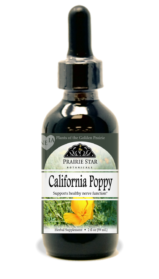 California Poppy
