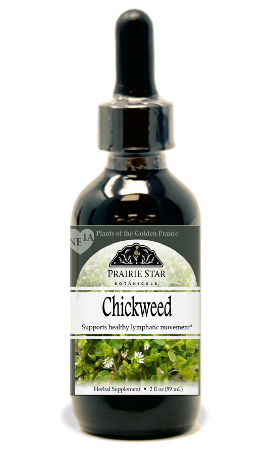Chickweed