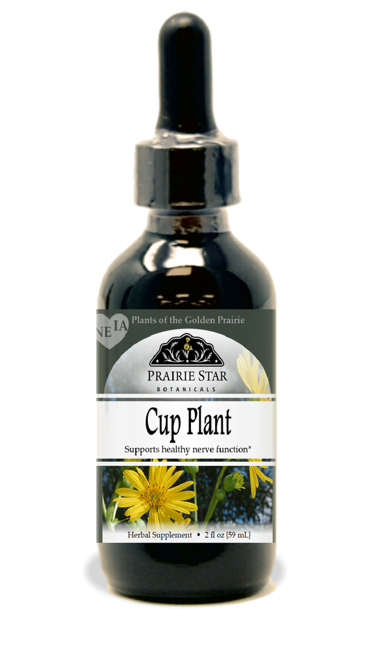 Cup Plant