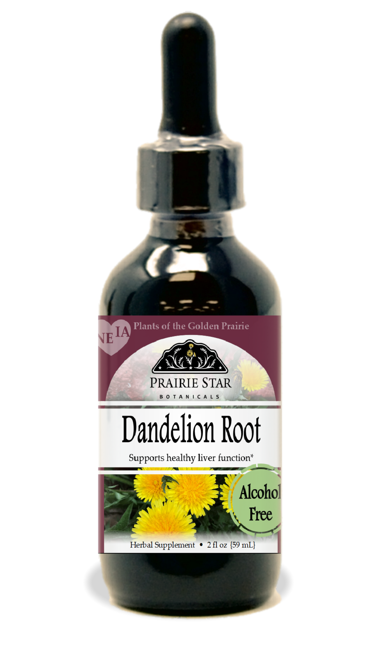 Dandelion
