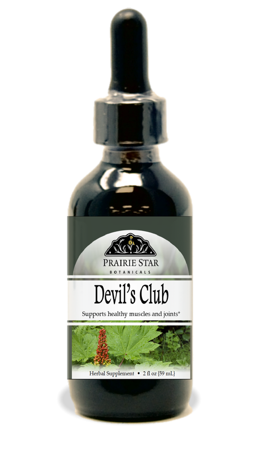 Devil's Club
