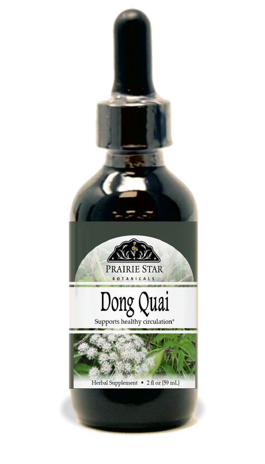 Dong Quai