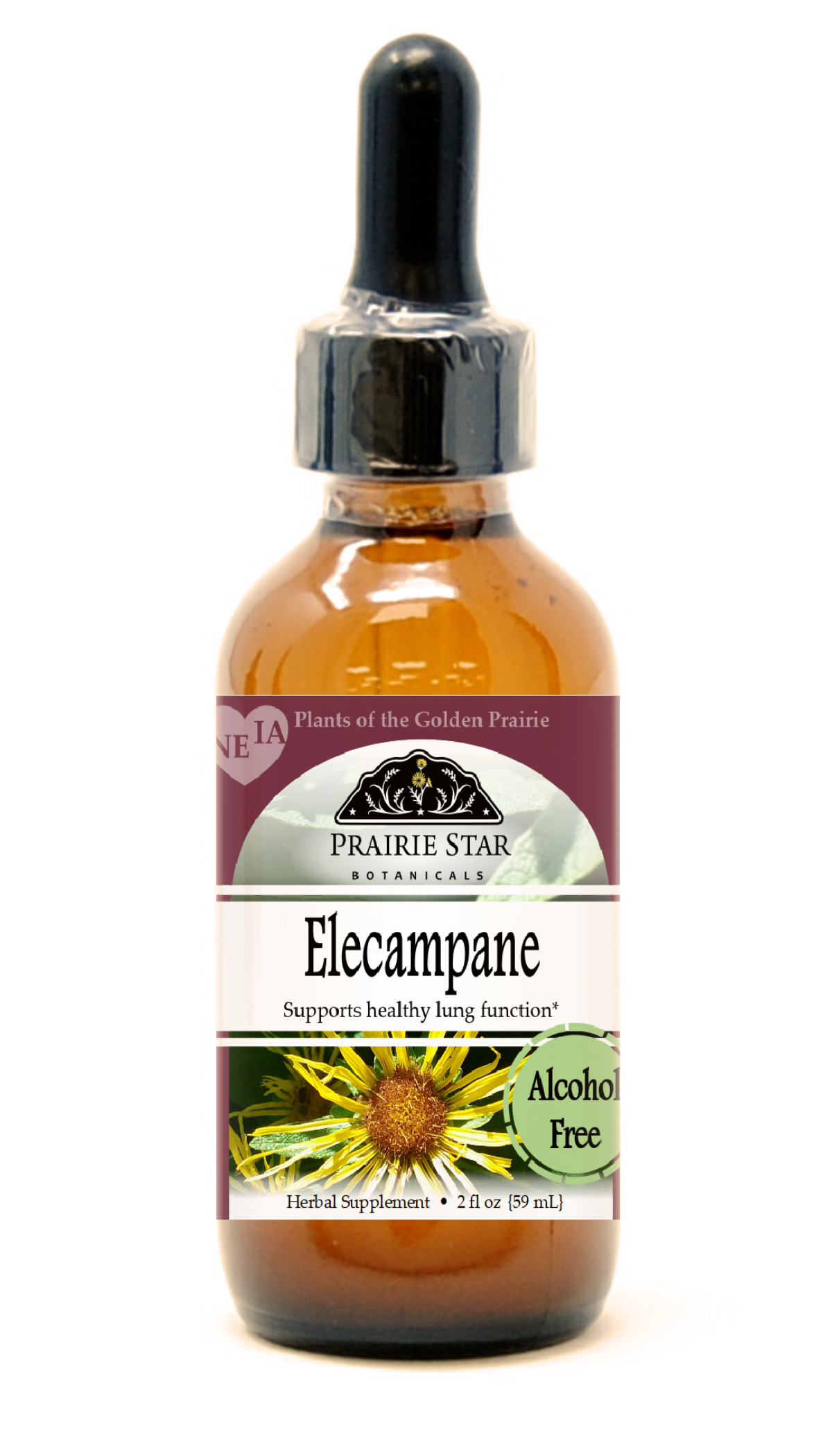 Elecampane