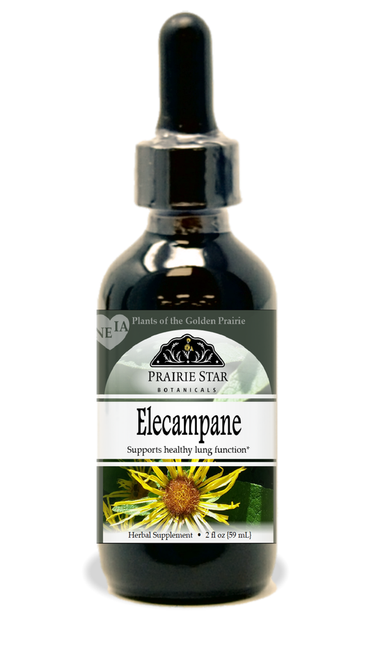 Elecampane