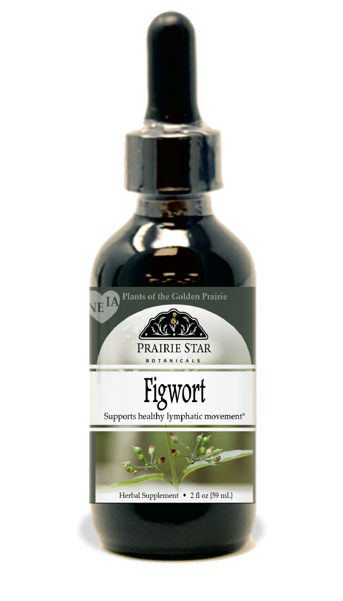 Figwort