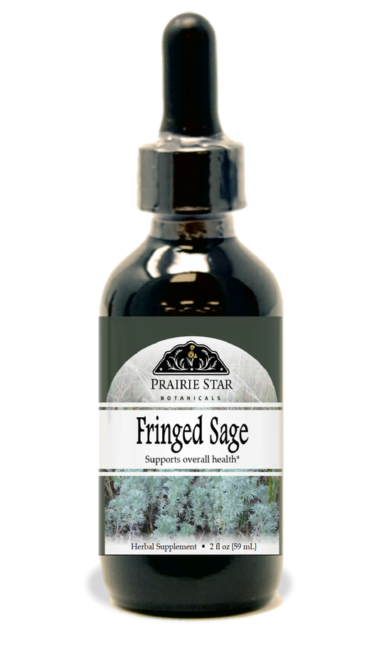 Fringed Sage