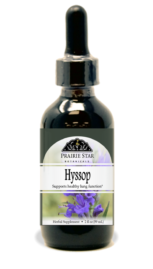 Hyssop