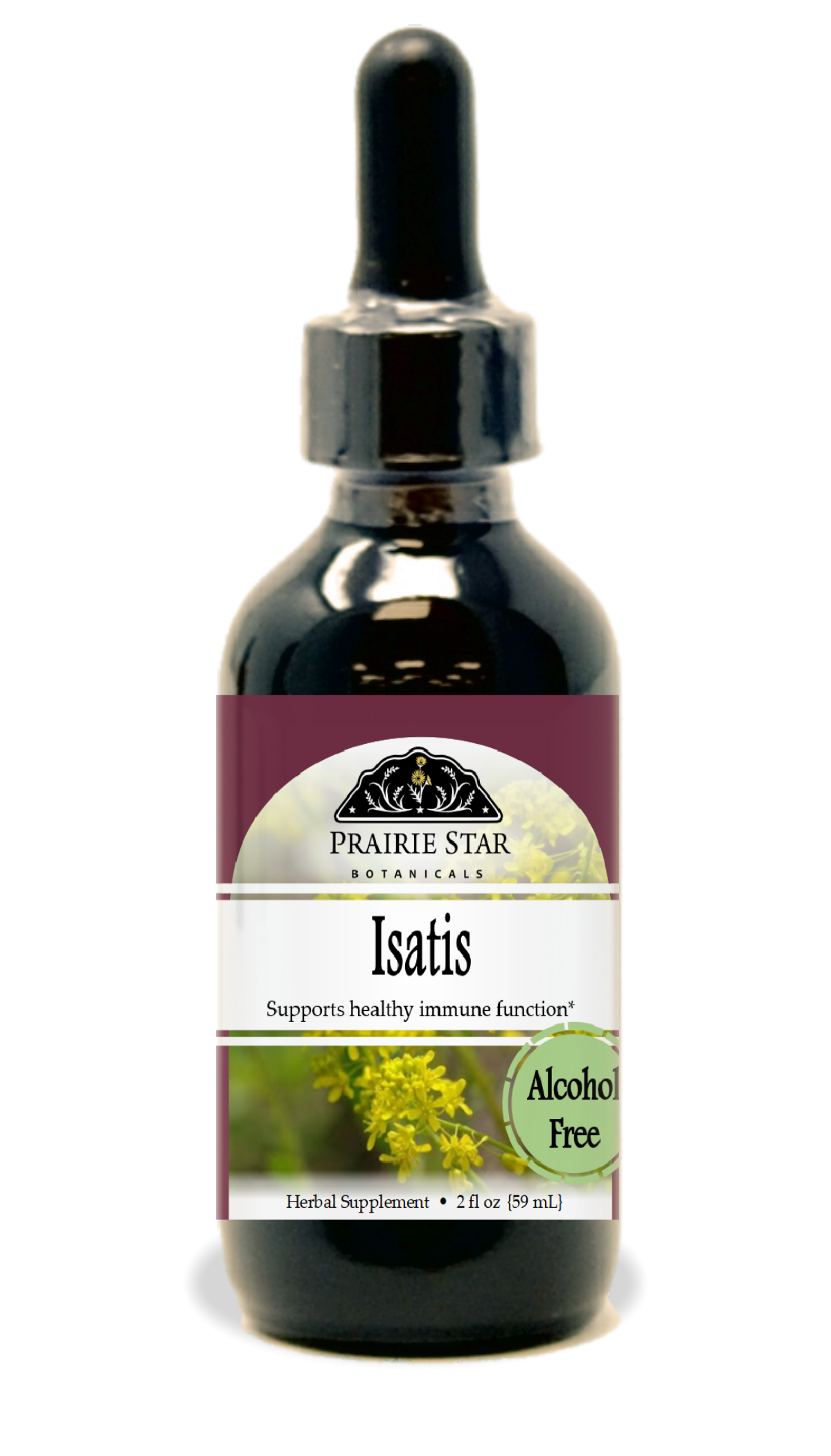 Isatis