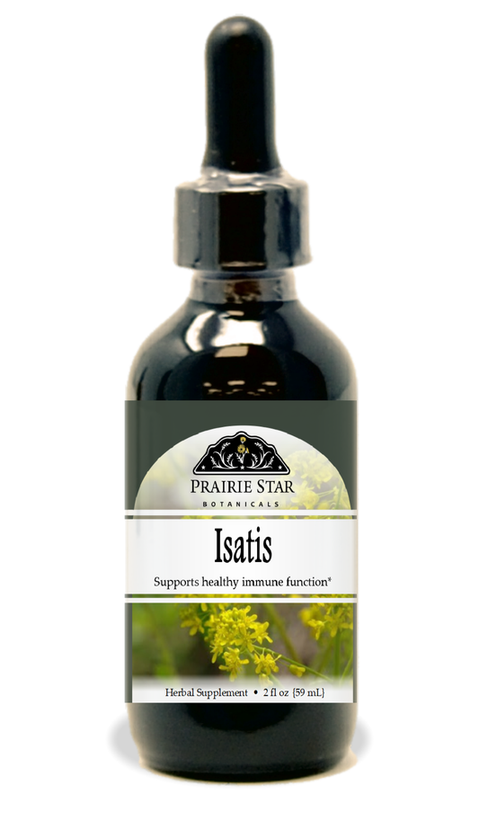 Isatis