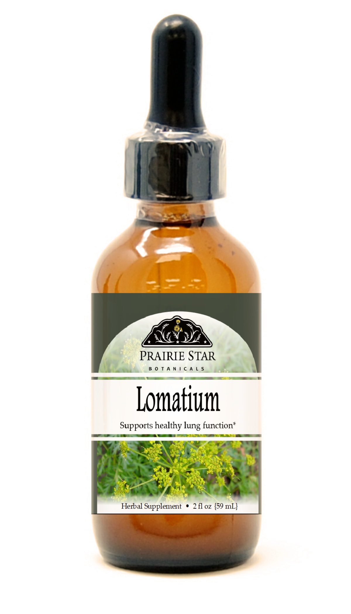 Lomatium