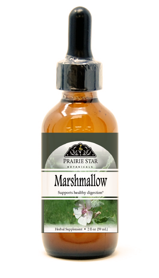 Marshmallow