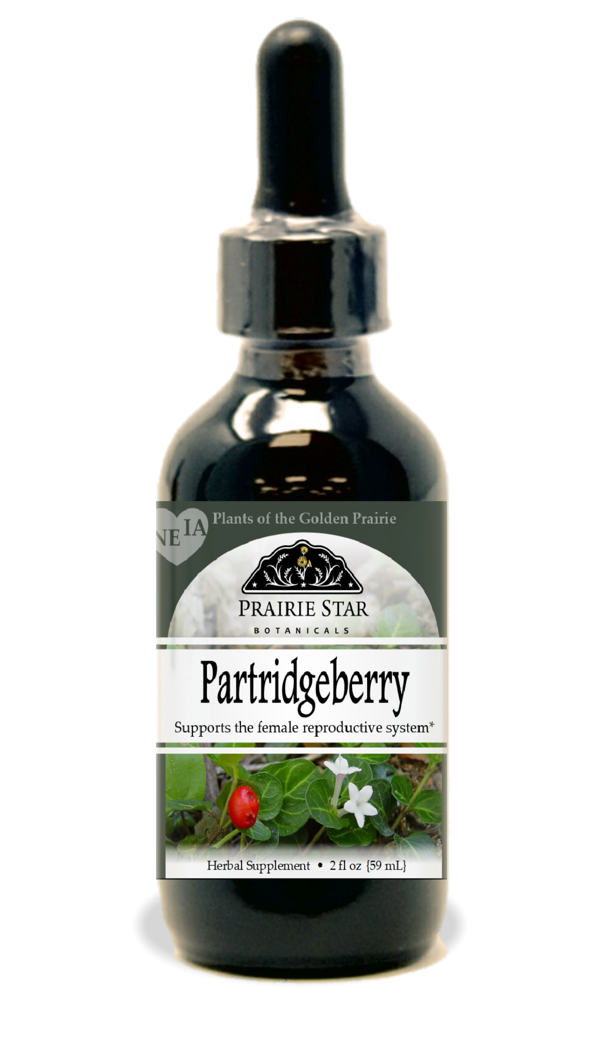 Partridgeberry