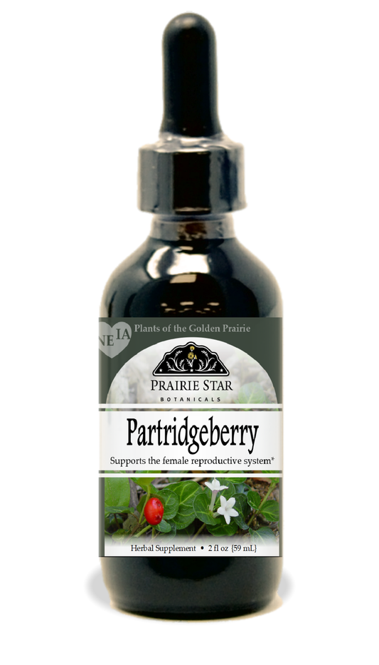 Partridgeberry