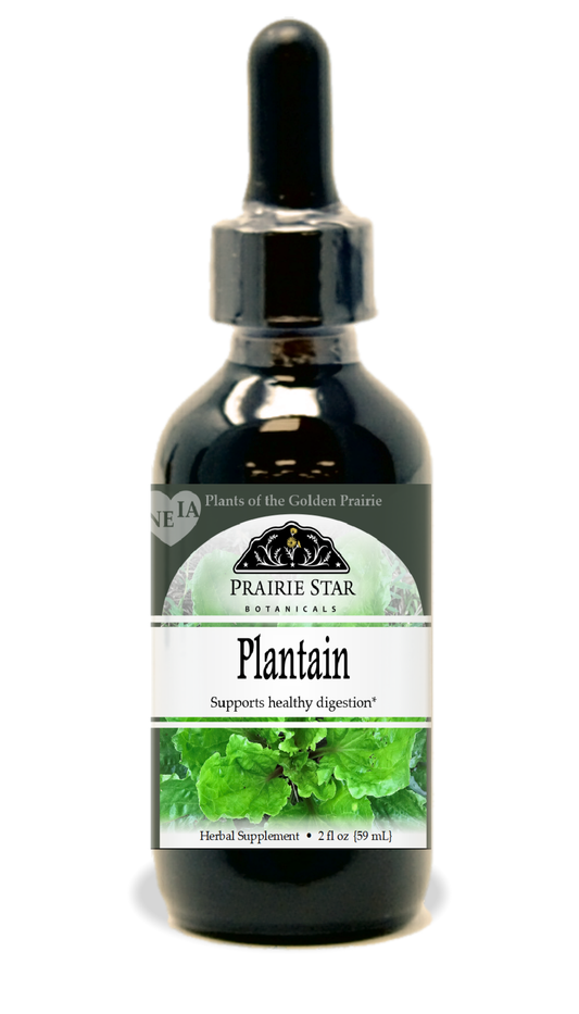 Plantain