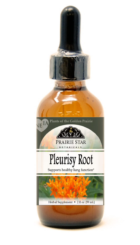 Pleurisy Root