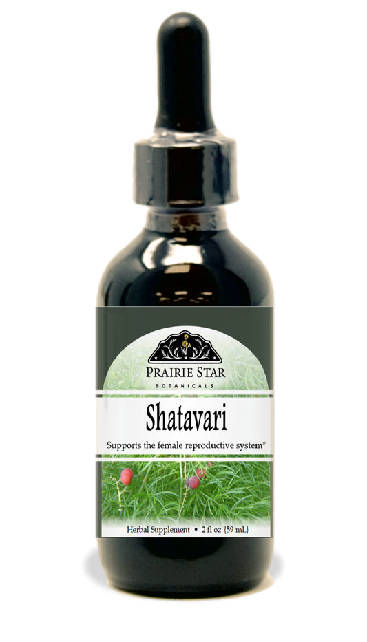 Shatavari Root