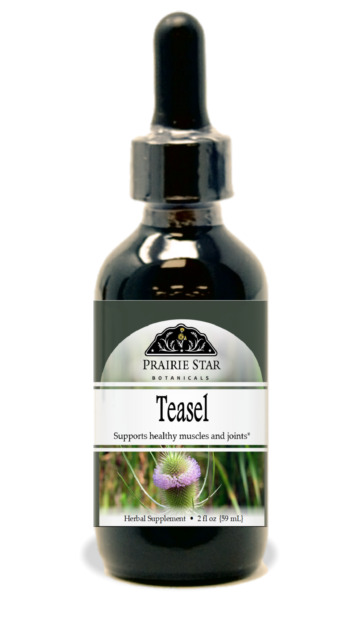 Teasel