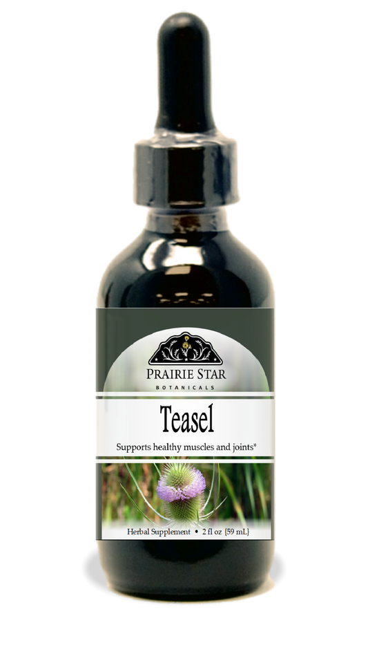 Teasel