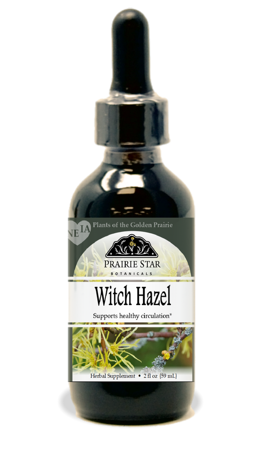 Witch Hazel