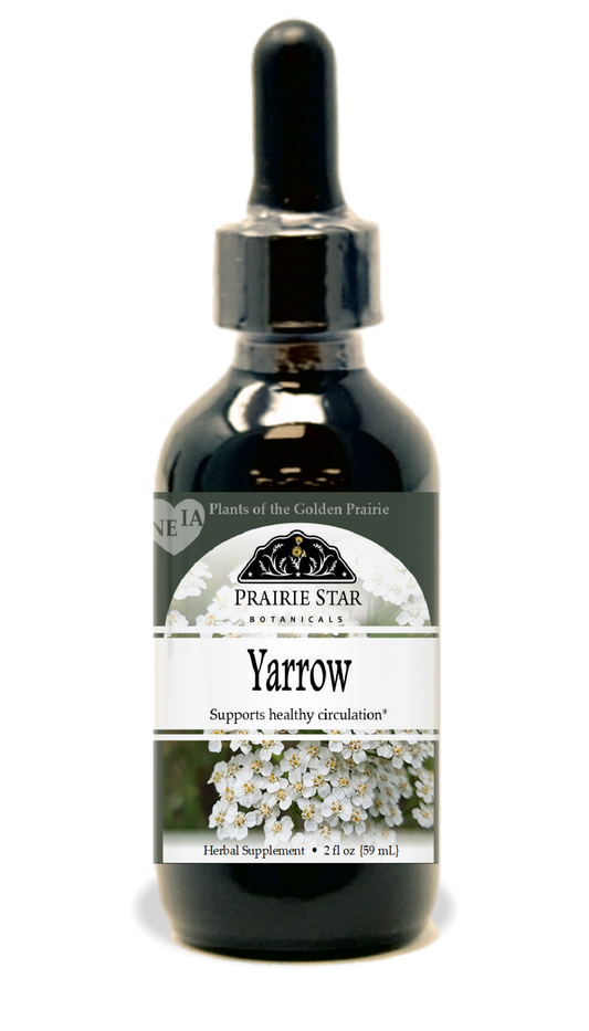 Yarrow